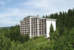Haus Bayerwald im Sommer