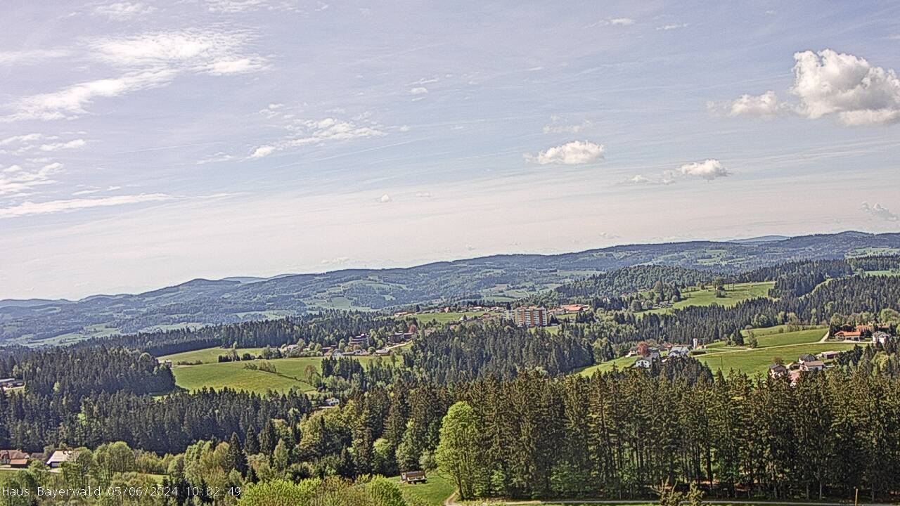 Webcam Altreichenau Bayerwald