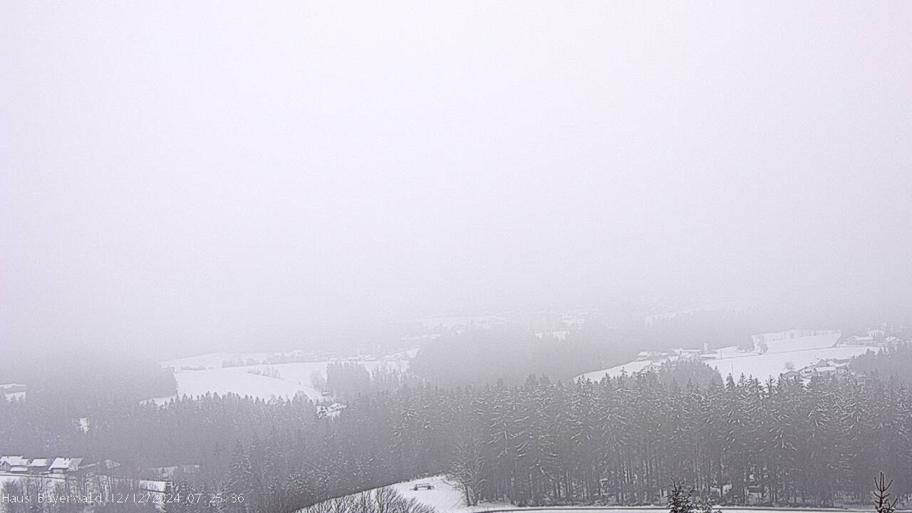 Webcam  Bayerischer Wald