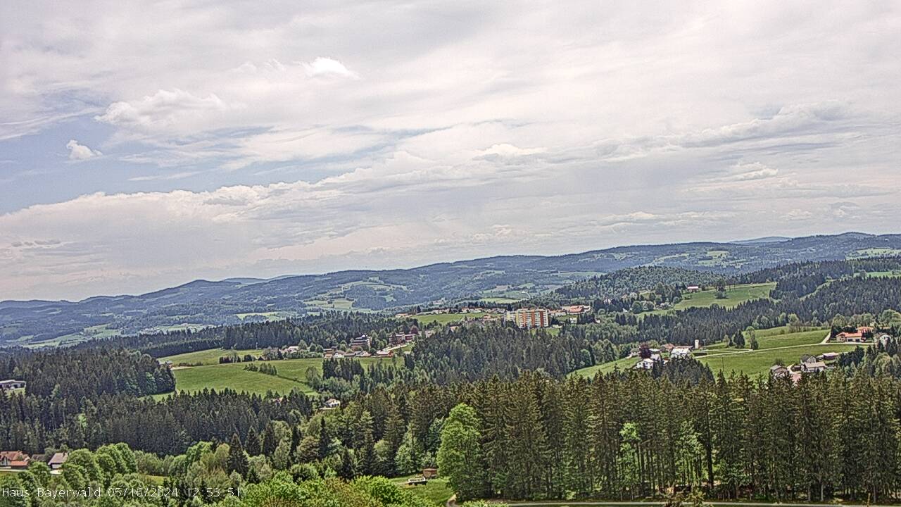Webcam in Neureichenau, Bayerischer Wald